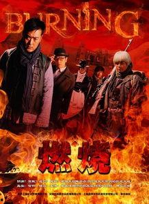 燃烧电视剧在线观看,揭秘都市生活背后的激情与挣扎 第2张 燃烧电视剧在线观看,揭秘都市生活背后的激情与挣扎 第2张